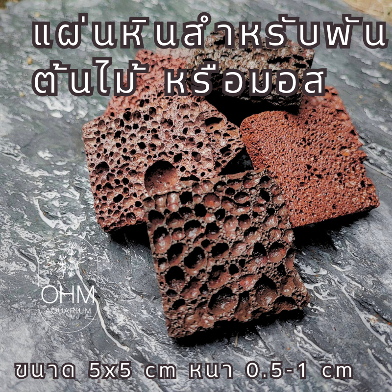 แผ่นหินลาวาพันมอส แทนตะแกรงพันมอสได้ พร้อมด้วยสารอาหารสำหรับต้นไม้