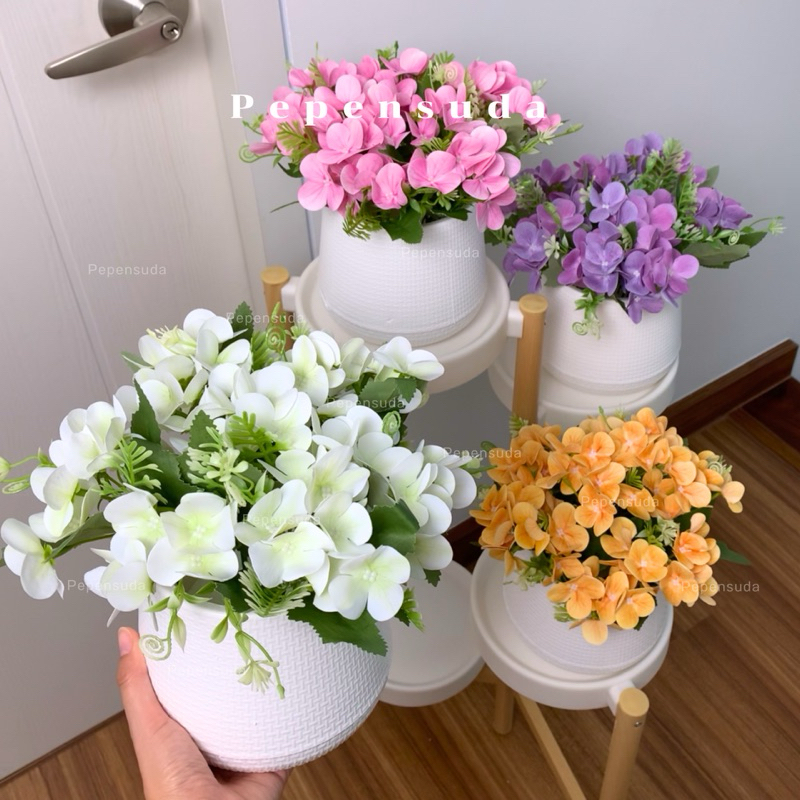 กระถางดอกไฮเดรนเยีย 💕พร้อมกระถางมินิมอลขาว มี 4 สี น่ารักมาก ดอกไม้ตกแต่งบ้าน