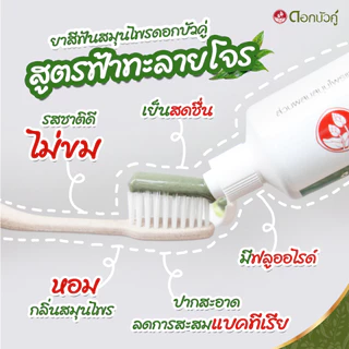 ดอกบัวคู่ ยาสีฟันสูตรฟ้าทะลายโจร 150 กรัม (1ชิ้น)