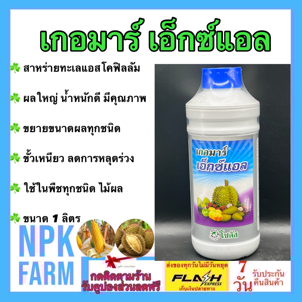 โซตัส เกอมาร์ เอ็กซ์แอล ขนาด 1 ลิตร ผลใหญ่ น้ำหนักดี ขั้วเหนียว ลดการหลุดร่วง เพิ่มการติดผล ทรงผลสวย