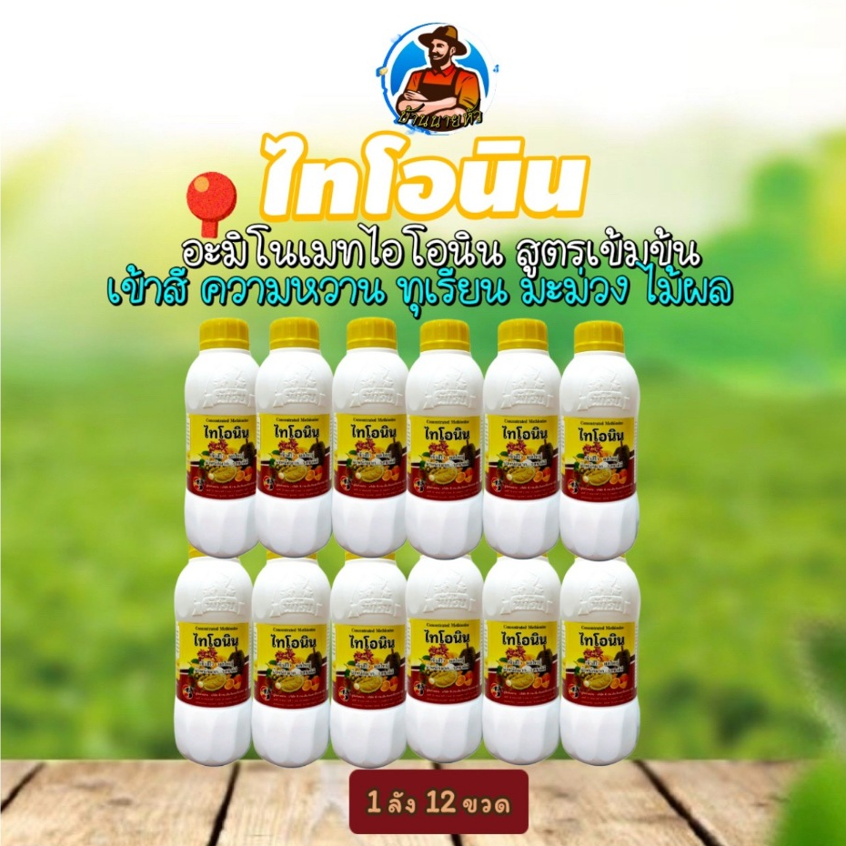 🔥ยกลัง 12 ลิตร🔥ไทโอนิน ใช้สำหรับเข้าสีทุเรียน มะม่วง ไม้ผล ไม่คืนสี สรสด หวานหอม ใช้สำหรับการเกษตรเท