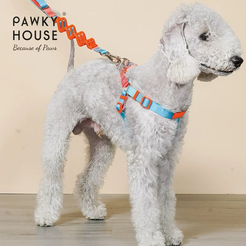 Pawky House สายจูงลดแรงกระชากMultifunction Leash