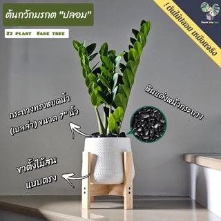 🌿ต้นไม้ปลอม ต้นกวักมรกตปลอม 60 cm. พร้อมกระถาง+หินแต่งหน้ากระถาง+ขาตั้ง ครบชุดพร้อมโชว์ สินค้าพร้อมจัดส่งในไทย🇹🇭
