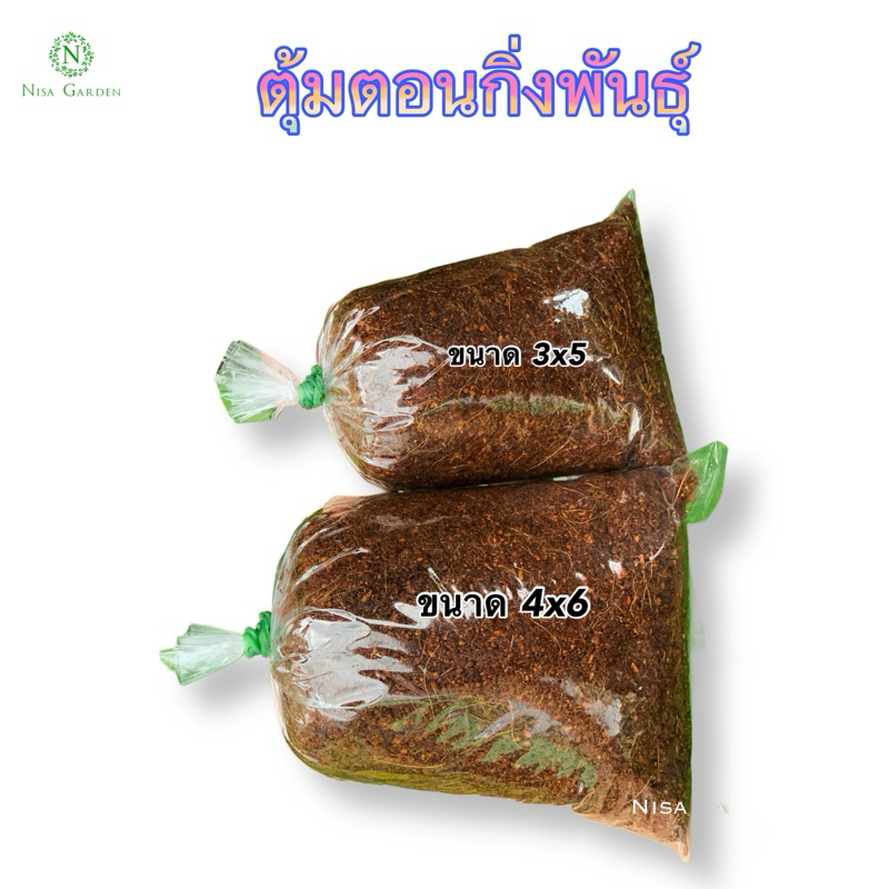 ตุ้มตอนกิ่ง 4x6🔥 ซื้อ10 ฟรี 1🔥ขุยมะพร้าวผสมน้ำยาเร่งราก