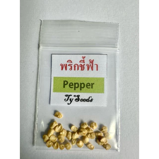 เมล็ดพันธุ์ พริกชี้ฟ้า 30 เมล็ด [ 10แถม2 ]คละได้