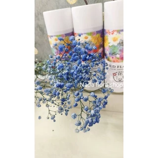 สีสเปรย์พ่นดอกไม้สดสำหรับเปลี่ยนสีดอกไม้มีให้เลือก16เฉดสีขนาด450ml