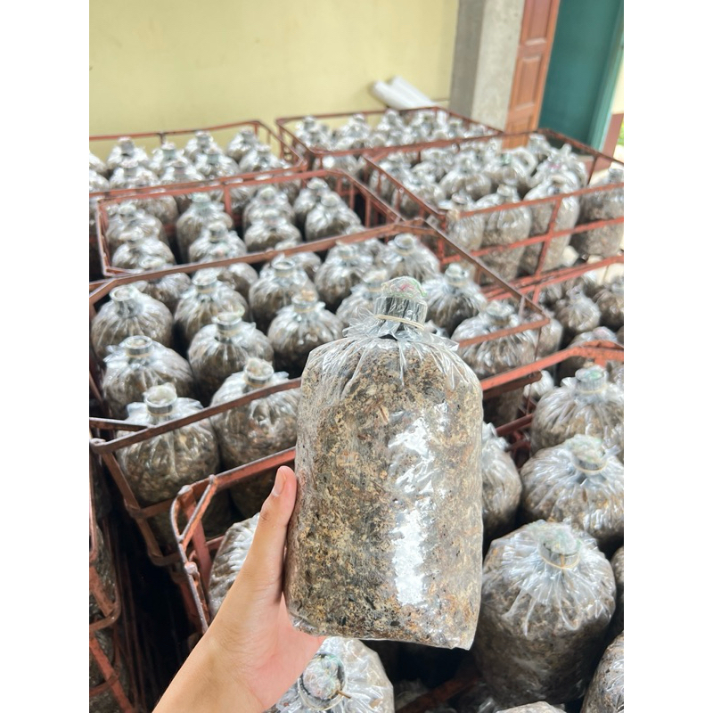 เชื้อเห็ดฟางชุด 24 ก้อน