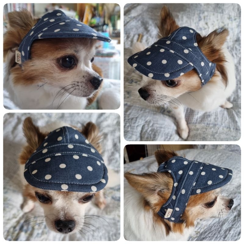 🔴🟢🧢หมวกแก็ปสุนัขตัวเล็ก🧢🟣🔴#Dog Caps