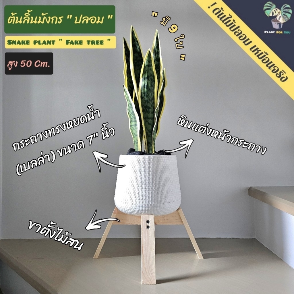 ต้นไม้ปลอม ต้นลิ้นมังกรขอบเหลือง  (50 Cm.);Snake plant ( Fake tree) ครบชุดพร้อมโชว์  สินค้าพร้อมจัดส