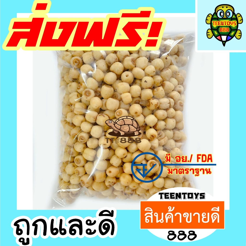 [ลด200 โค๊ด30OFF200] เม็ดบัว เม็ดบัวอบกรอบ เม็ดบัวกรอบ เม็ดบัวอบ ผักอบกรอบ - 1 กิโลกรัม - ถั่วตราเต่า