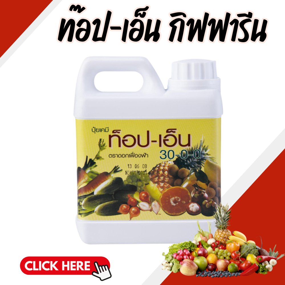 ท๊อป-เอ็น ปุ๋ย ปุ๋ยกิฟฟารีน ปุ๋ยควบคุมการปลดปล่อยธาตุไนโตรเจนกับพืช