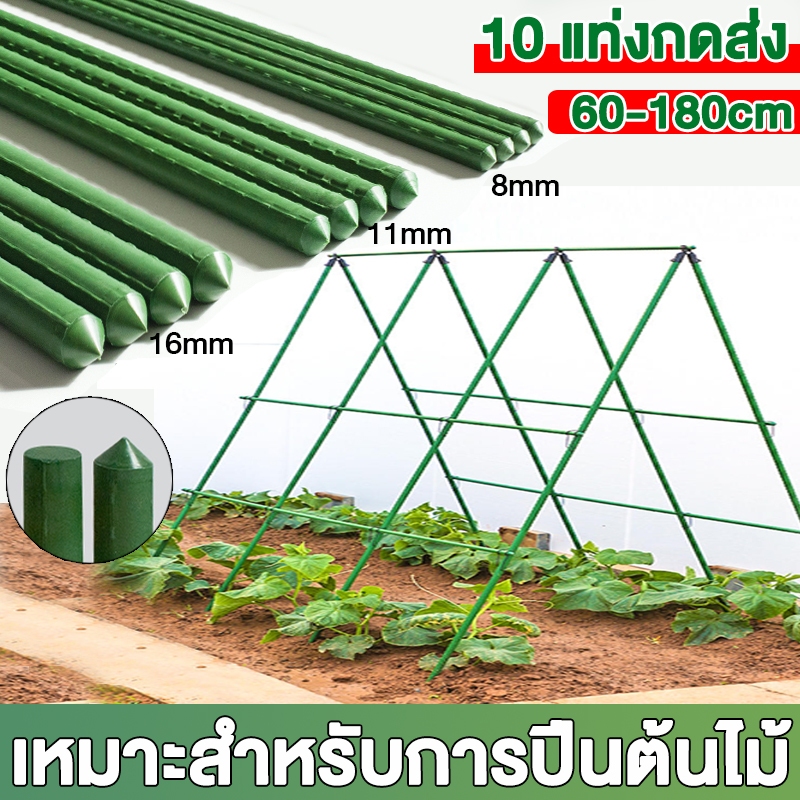 ท่อเหล็กPE ไม้ค้ำต้นไม้ เสาค้ำต้นไม้ หลักไม้เลื้อย เสาไม้เลื้อย ไม้ค้ำยันต้นไม้ หนา8.11.16.20มม. ยาว60.90.120.150.180ซม.