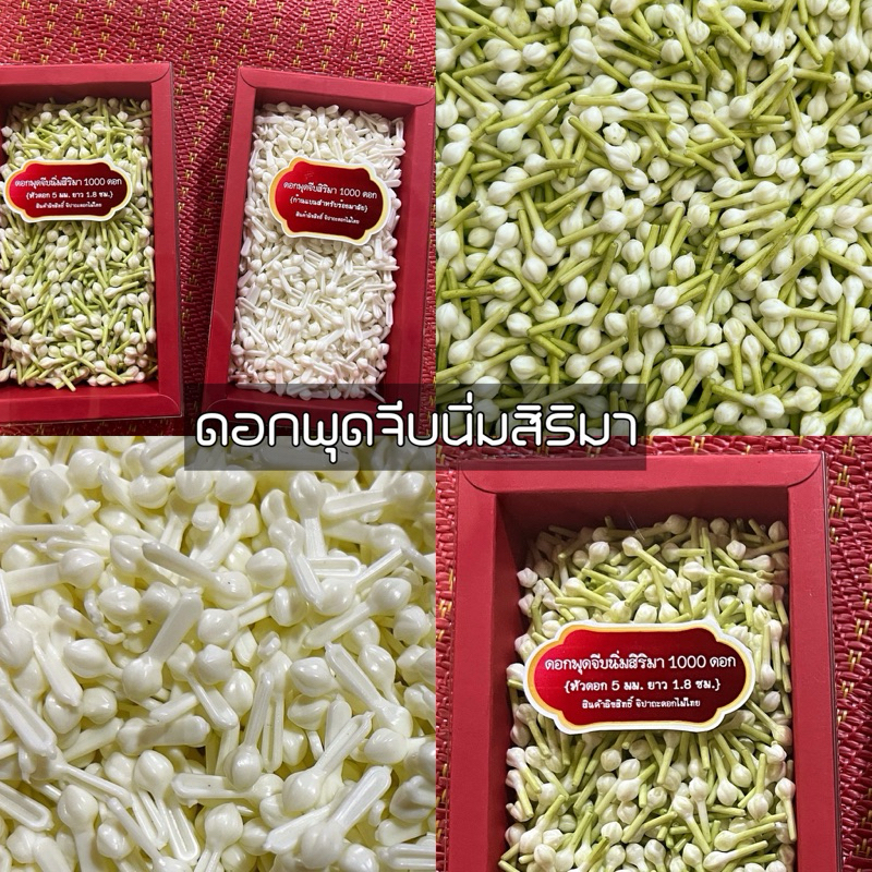 [ถูกที่สุด]ดอกพุดจีบร้อยตาข่าย(สินค้าลิขสิทธิ์) ดอกพุดจีบสิริมา ขันหมาก มาลัย อุบะ ดอกรัก พุดดิน พุดร้อยมาลัย