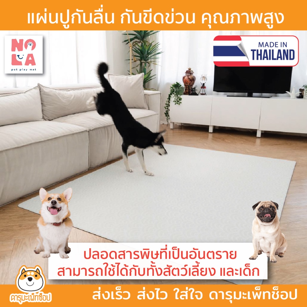 Nola Pet Play Mat แผ่นปูรองกันลื่น แผ่นรองวิ่ง แผ่นยาง PVC สำหรับสัตว์เลี้ยงและเด็ก 140 x 200 cm