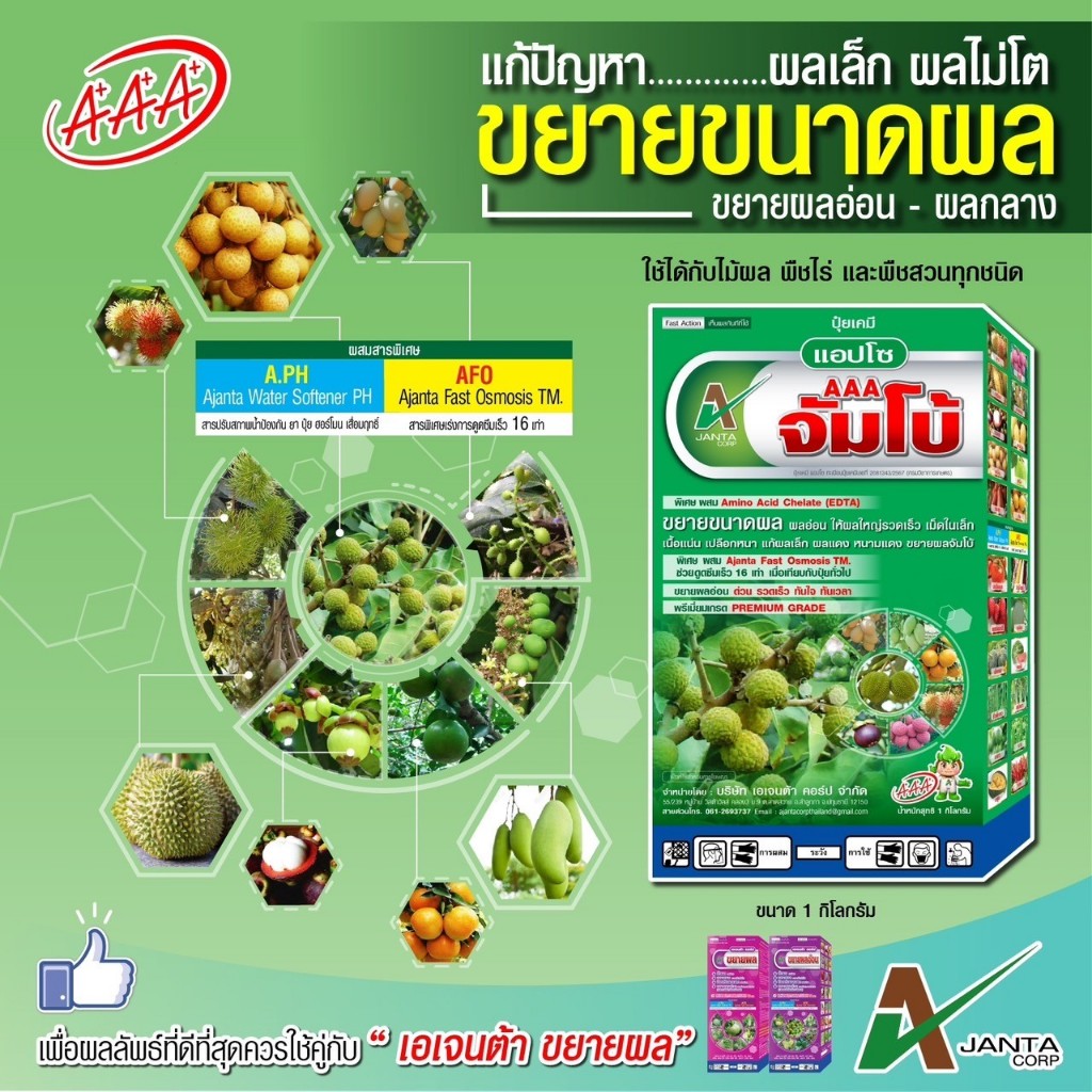 ปุ๋ยขยายผลอ่อน ขยายลูก สร้างเปลือก จัมโบ้ AAA ขยายผลอ่อน เร่งผลใหญ่ ผลสม่ำเสมอ เอเจนต้า คอร์ป