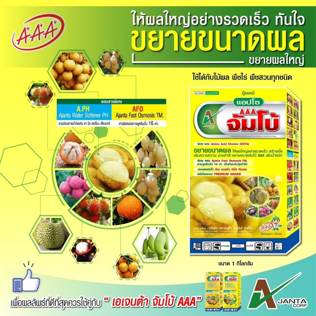 ปุ๋ยขยายลูก เร่งสี เข้าเนื้อ เอเจนต้า คอร์ป จัมโบ้ AAA กล่องเหลือง ขยายผล สร้างเนื้อ เข้าสี