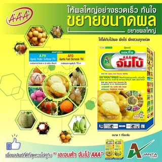 ปุ๋ยขยายลูก เร่งสี เข้าเนื้อ จัมโบ้ AAA กล่องเหลือง ขยายผล สร้างเนื้อ เข้าสี เอเจนต้า คอร์ป