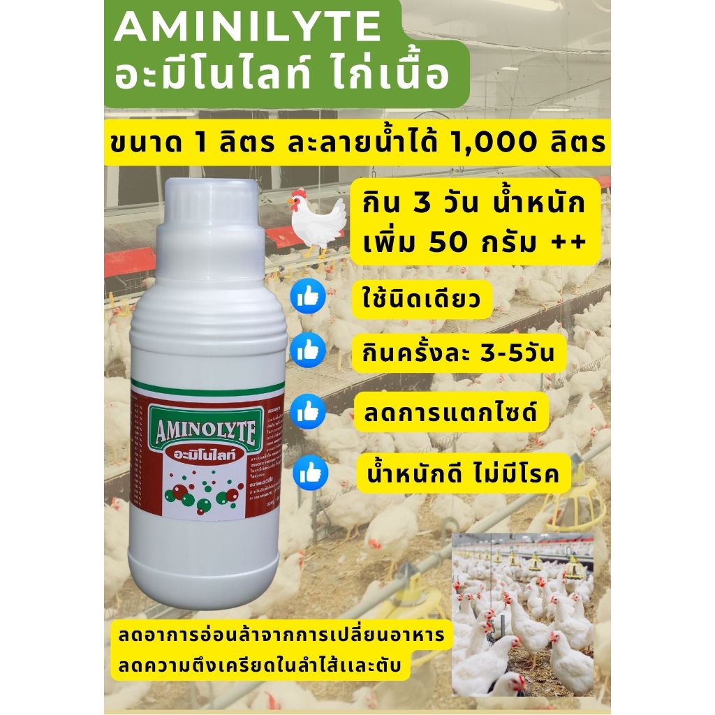 อาหารเสริมไก่ เร่งโตไก่เนื้อ aminolyte อะมีโนสำหรับไก่เนื้อ เป็ดไข่ ไก่ไข่ เป็ดเนื้อ