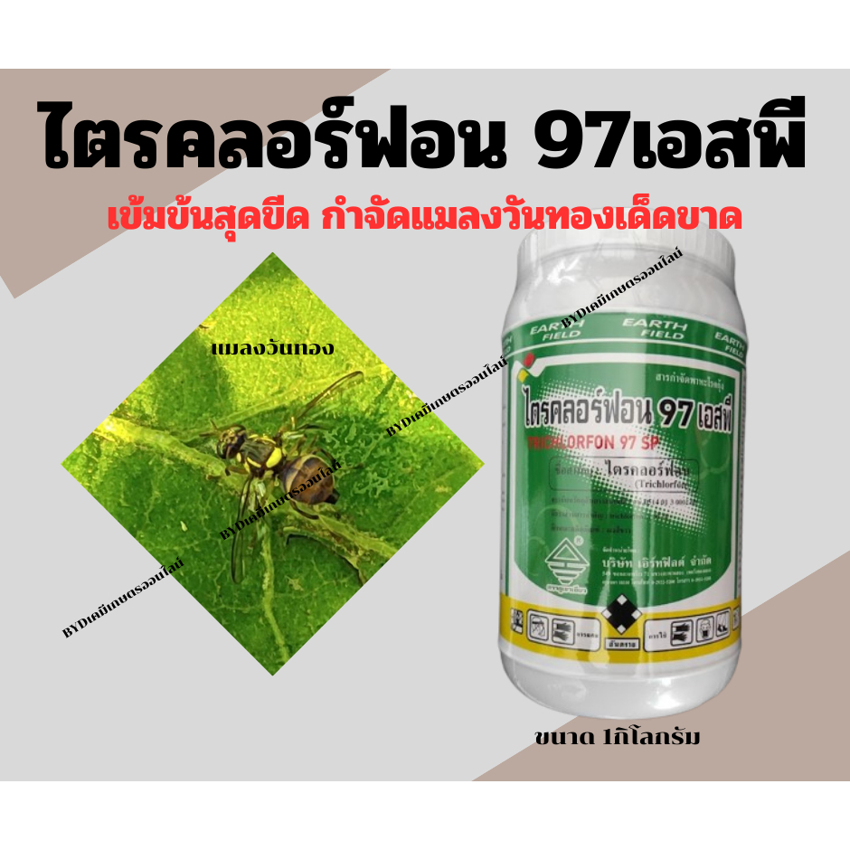 ไตรคลอร์ฟอน 97เอสพี ขนาด1กิโลกรัม สารไตรคลอร์ฟอนเปอร์เซนต์เข้มข้นที่สุด ถึง97% กำจัด เพลี้ย หนอน และแมลงวันทอง ไอ้ฮวบ