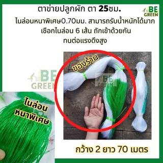 ตาข่ายปลูกผัก ตาข่ายปลูกแตง 🚩ไนล่อนหนาพิเศษ 2x70 แตงกวา อวนแตง ค้างแตง ปลูกไม้เลื้อย มะระ ผักเลื้อย ถั่วฝักยาว