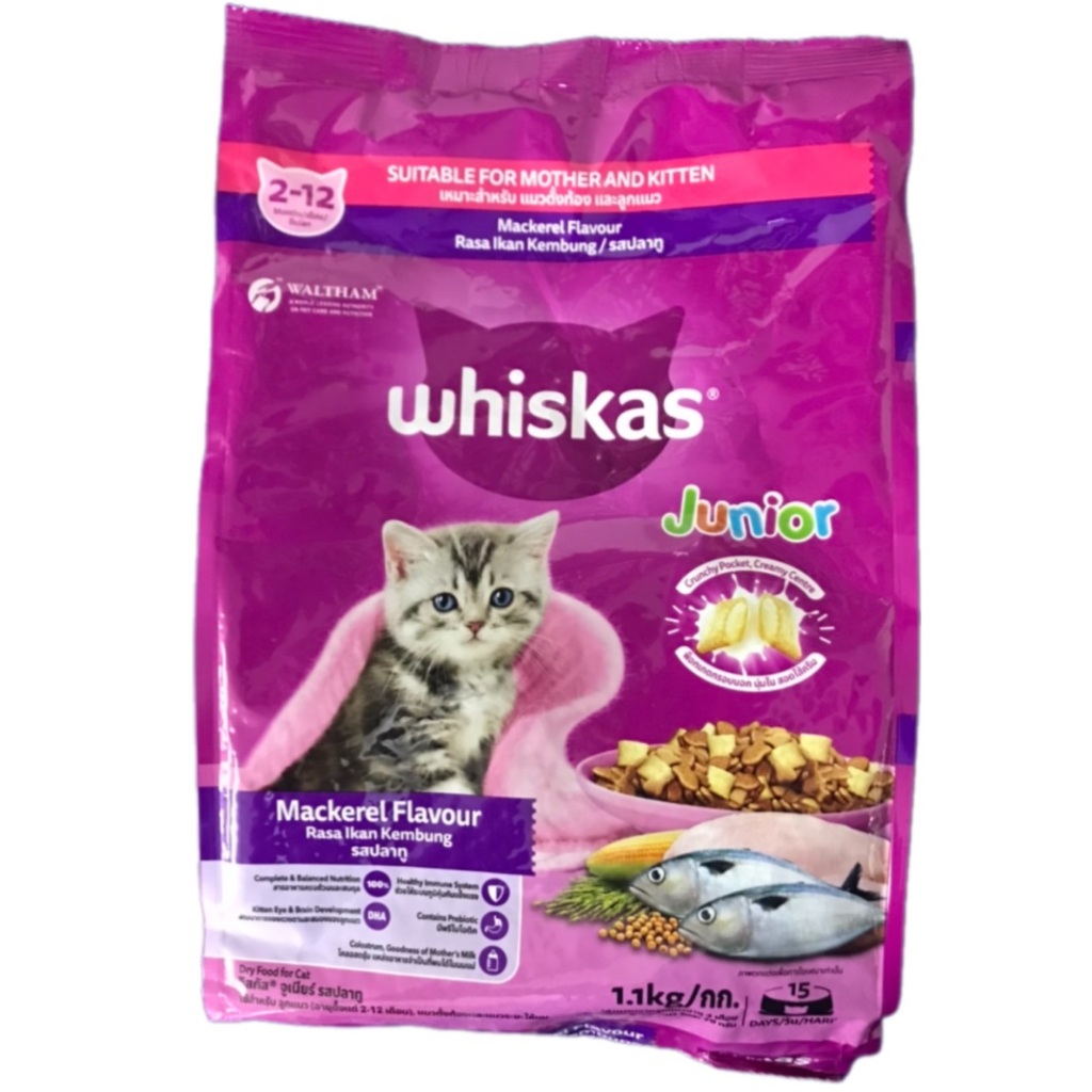 whiskas Junior วิสกัส จูเนียร์ รสปลาทู อาหาร แมวตั้งท้อง และลูกแมว 1.1 กก.