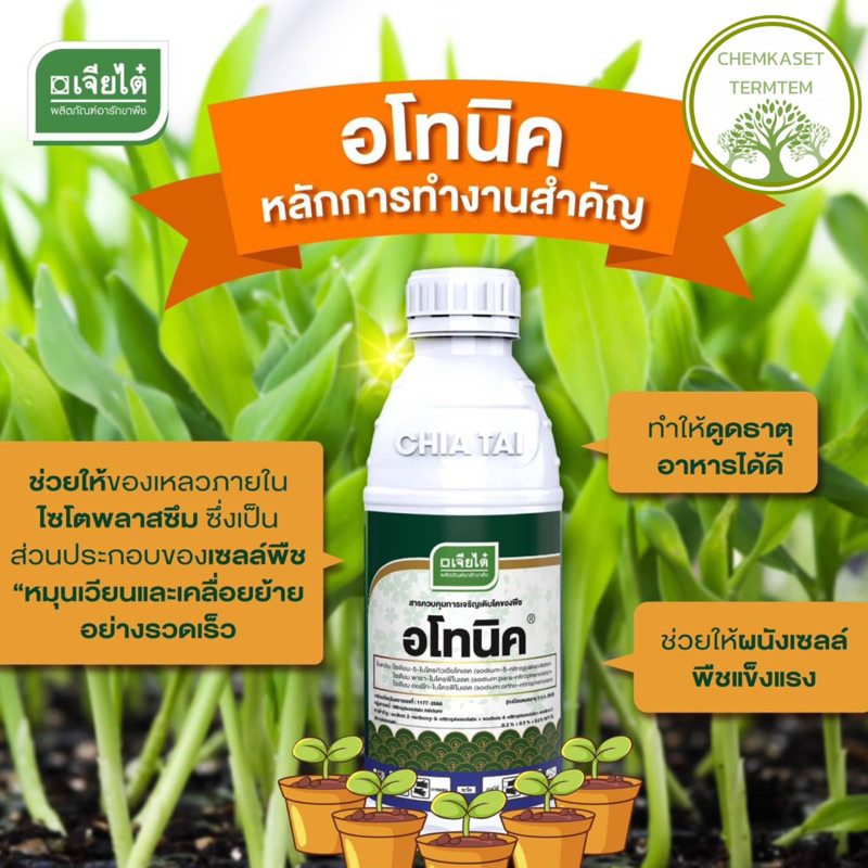 อโทนิค ขนาด 500มล.🍊🌽🥬🌶️🍌อโทนิค 500 cc  กระตุ้นการเจริญเติบโตของพืช ขั้วเหนียว ลดการหลุดร่วง