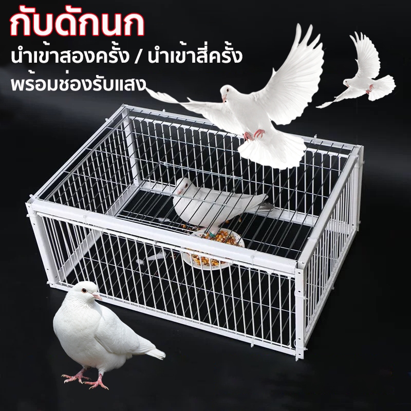 （พร้อมส่ง）กรงดักนก กรงกับดักนกพิราบ ช่องว่าง 2 ซม กรงนกทางเดียว กรงต่อนก