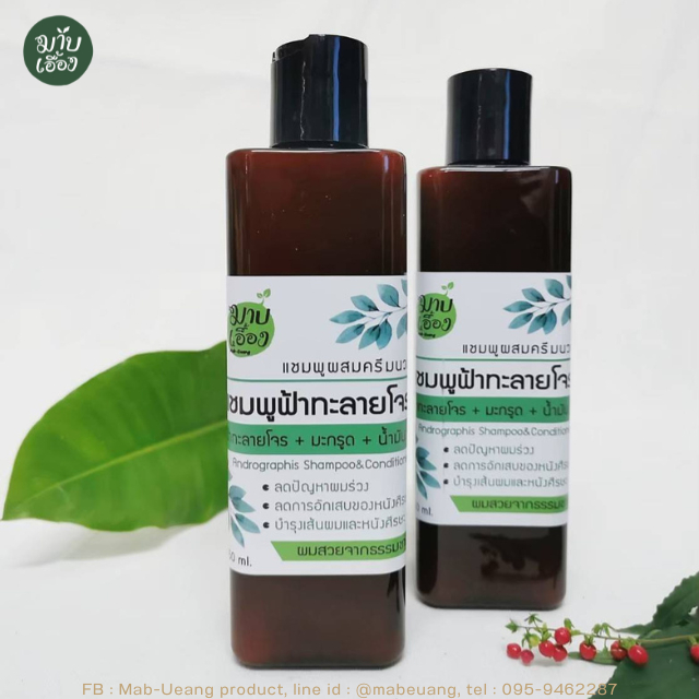 แชมพูสมุนไพรสดผสมครีมนวด (ฟ้าทะลายโจร) (FRESH HERBS SHAMPOO WITH  CONDITIONER) ผลิตโดย มาบเอื้อง