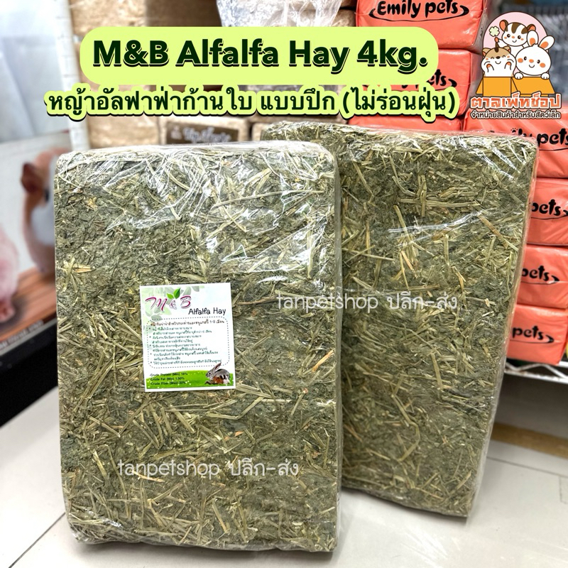 M&B Alfalfa Hay หญ้าอัลฟาฟ่าแบบพรีเมี่ยม ไม่ร่อนฝุ่นก้านรวมใบ หญ้ากระต่าย แกสบี้ ชินชิลล่า [แบบปึก 4kg]