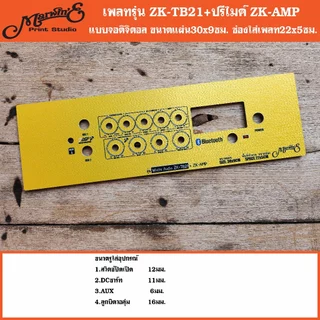 เพลทรุ่น ZK-TB21+ปรีไมค์ ZK-AMP ขนาดแผ่น30x9ซม.👉Marwin'e.แบรนด์แรกเพลทคอมโพสิทในตู้บลูทูธDIY.สินค้าในไทย🇹🇭