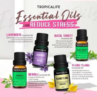 น้ำมันหอมระเหยลาเวนเดอร์100% LAVENDER ESSENTIAL OIL น้ำมันหอมระเหยแท้ น้ำมันอโรม่า By Tropicalife.