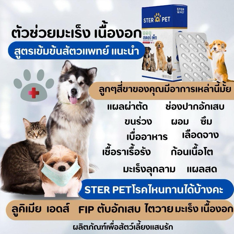 สเตอร์เพ็ท Ster pet ผลิตภัณฑ์เสริมอาหารสำหรับน้องหมาน้องแมว