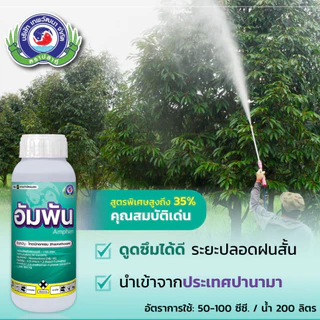แอมเพล 1ลิตร ไทอะมีทอกแซม กำจัดแมลง ปากดูด เพลี้ยแป้ง เพลี้ยหอย ปุยฝ้าย กระโดด แมลงหวี่ขาว แมลงวันทอ