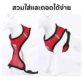 yoyopet : สายจูงสัตว์เลี้ยง หมา แมว สายรัดสัตว์เลี้ยง ชุดเสื้อตาข่ายพร้อมสายจูง มีหลายขนาดให้เลือก