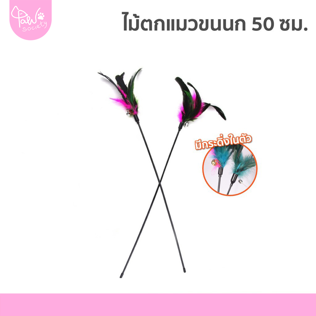 PawSociety ไม้ตกแมว 50ซม. ของเล่นแมว ไม้ล่อแมว ปลายขนไก่ รุ่นเบสิค ขนนกล่อแมว