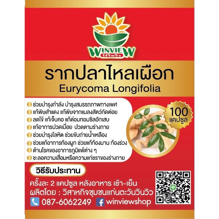สมุนไพรรากปลาไหลเผือก