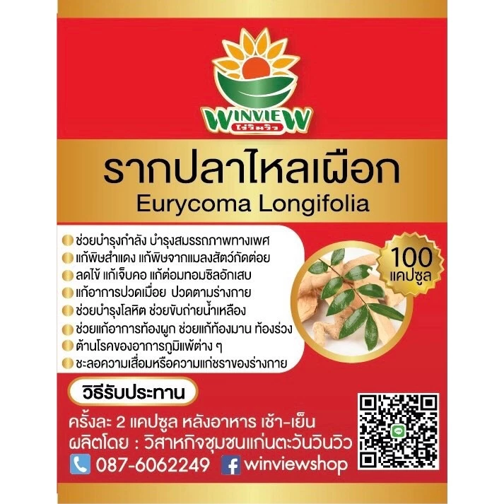 สมุนไพรรากปลาไหลเผือก