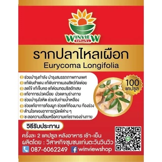 สมุนไพรรากปลาไหลเผือก
