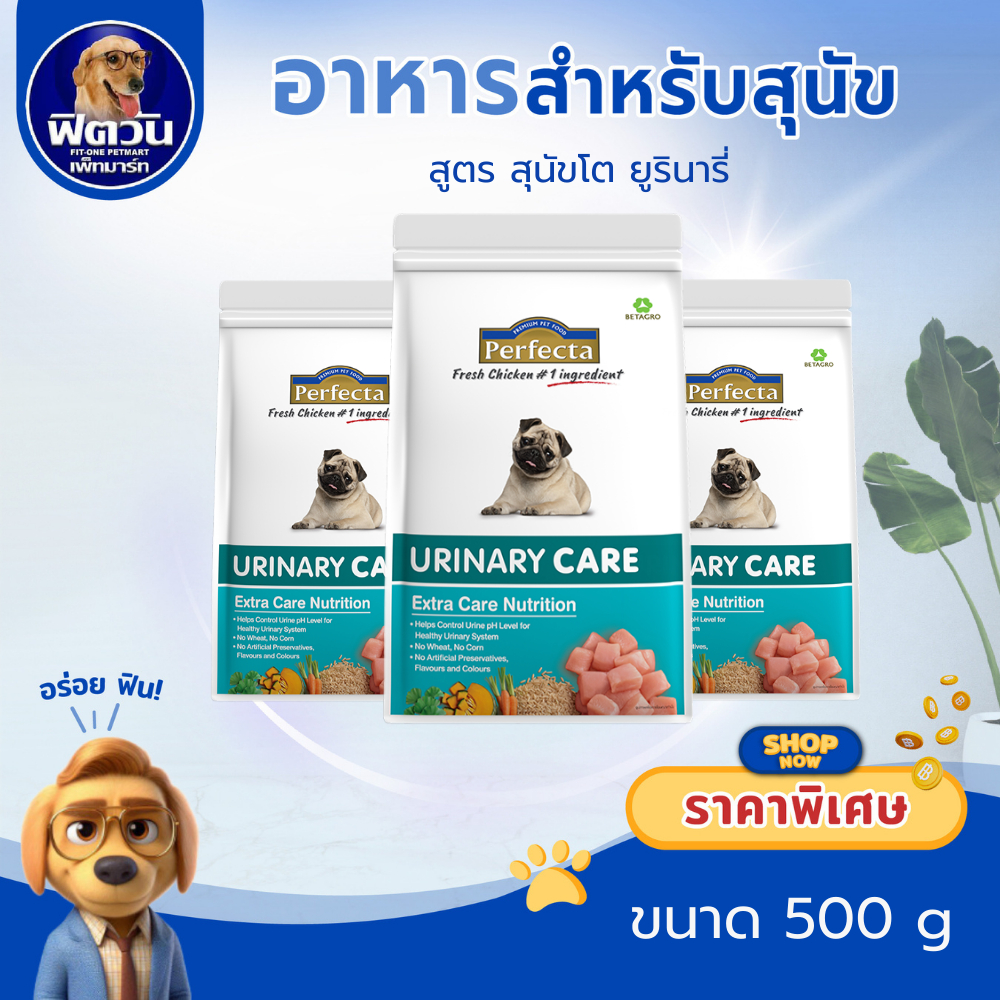 Perfecta URINARY CARE สุนัขโต1ปีขึ้นไป สูตรดูแลทางเดินปัสสาวะ 500 กรัม{อาหารสุนัขเม็ด}