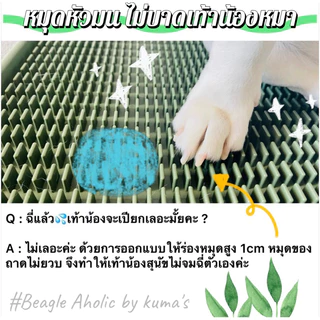 พร้อมส่ง ถาดฉี่สุนัข นวัตกรรมใหม่ ไม่ต้องใช้แผ่นซับอีกต่อไป itemใหม่ ที่ไม่ควรพลาด