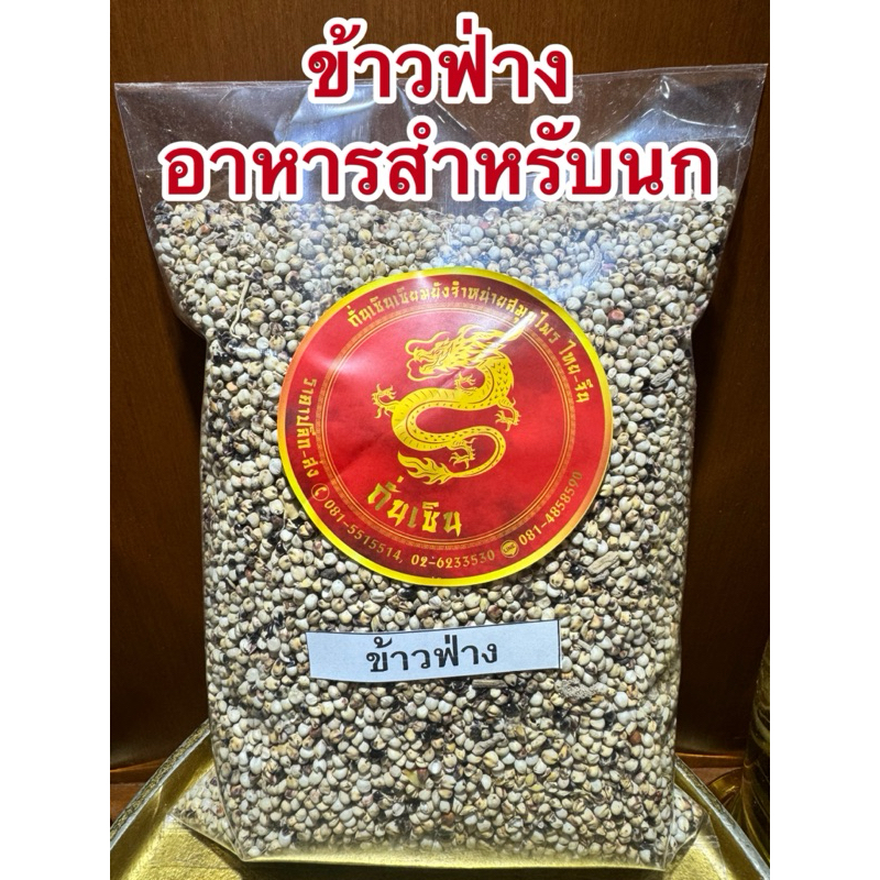 ข้าวฟ่าง ข้าวฟ่างขาว เมล็ดข้าวฟ่าง อาหารเสริมสำหรับนก สัตว์ปีกทุกชนิด สำหรับสัตว์เลี้ยง