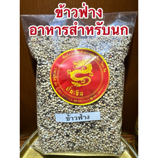 ข้าวฟ่าง ข้าวฟ่างขาว เมล็ดข้าวฟ่าง อาหารเสริมสำหรับนก สัตว์ป…
