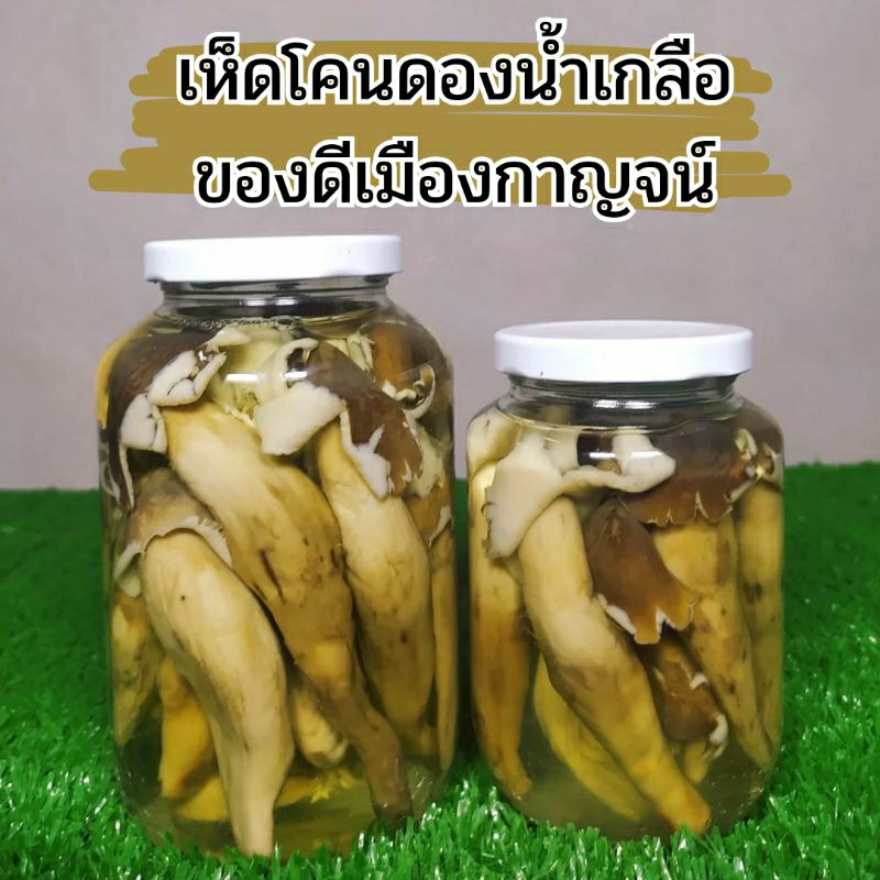 เห็ดโคน เห็ดโคนป่าดองน้ำเกลือของแท้จากเมืองกาญจน์ น้ำหนักรวม650กรัม