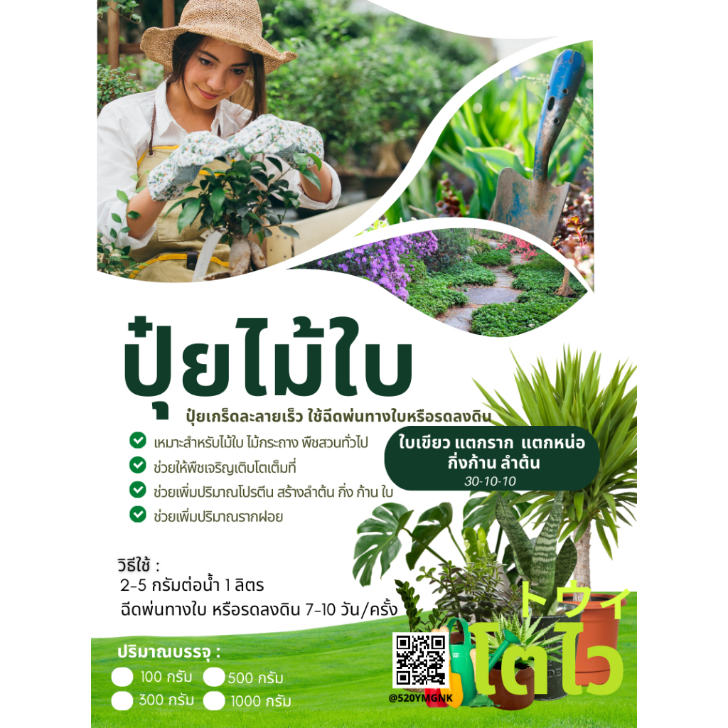 ปุ๋ยโตไว ปุ๋ยเกร็ดเหมาะสำหรับไม้ใบไม้กระถาง เพิ่มความเขียว เพิ่มสารอาหารที่จำเป็นให้พืช