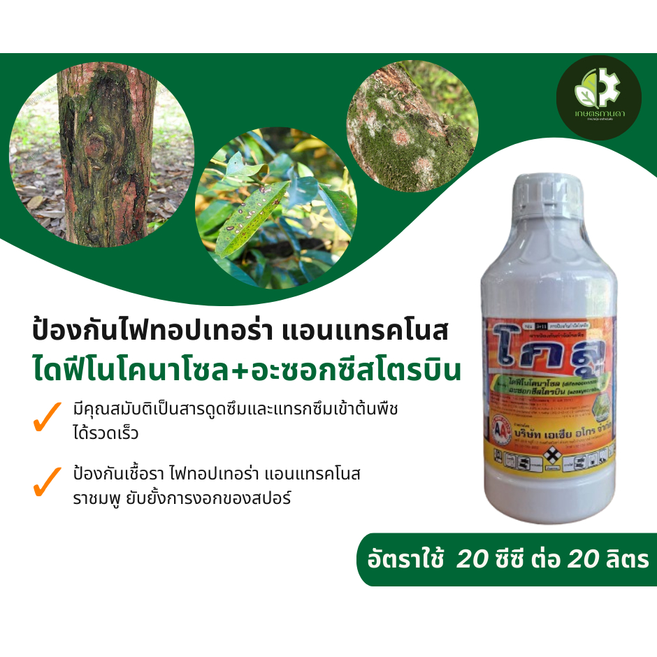 โกลู (ไดฟีโนโคนาโซล+อะซอกซีสโตรบิน 1 ลิตร) ป้องกัน โรคแอนแทรกโนส ไฟท็อปเทอร่า ราชมพู ยับยั้งสปอร์ ราคา ถูกที่สุด ดีลบีเคเค