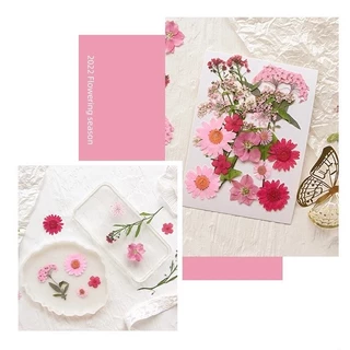 ดอกไม้จริงทับแห้ง รวมผสมดอกไม้หลากหลายชนิด แต่งเคสโทรศัพท์เรซิ่น เครื่องประดับต่าง diy
