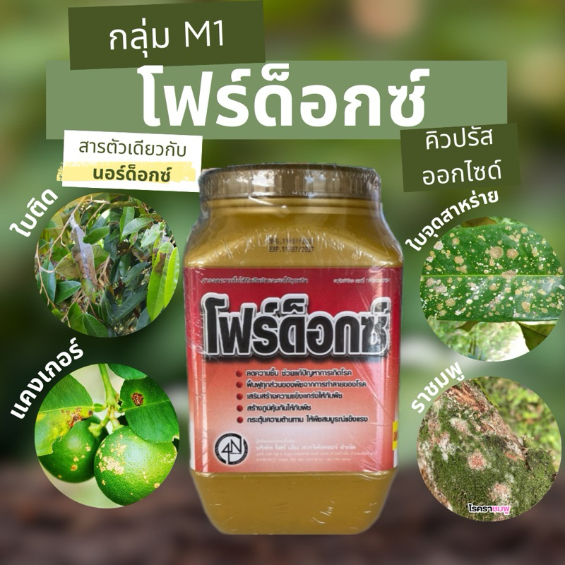 โฟร์ด็อก 1กก. ยาแดงทาแผลทุเรียน คอปเปอร์แดงป้องกันกำจัดโรคจากเชื้อราและแบคทีเรีย รักษาไฟทอปทอร่า