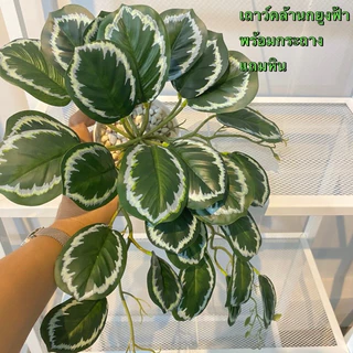 (พร้อมส่ง)เถาวัลย์ใบไม้ประดิษฐ์ เถาวัลย์ไม้เลื้อย เถาวัลย์ต้นไม้เสมือนจริง ใช้ตกแต่งฝาผนังบ้าน ร้านอาหารคาเฟ่