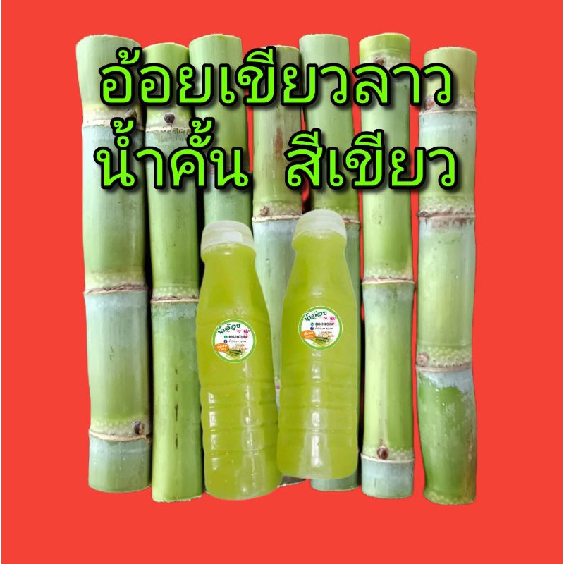 พันธุ์อ้อยเขียวลาว (น้ำคั้นสีเขียว) อ้อยคั้นน้ำ (คัดท่อนพันธุ์ 6 ท่อน ตัดสด) รสหอมหวาน อ้อยนำเข้า (อ้อยเขียวลาวแท้ 100%)