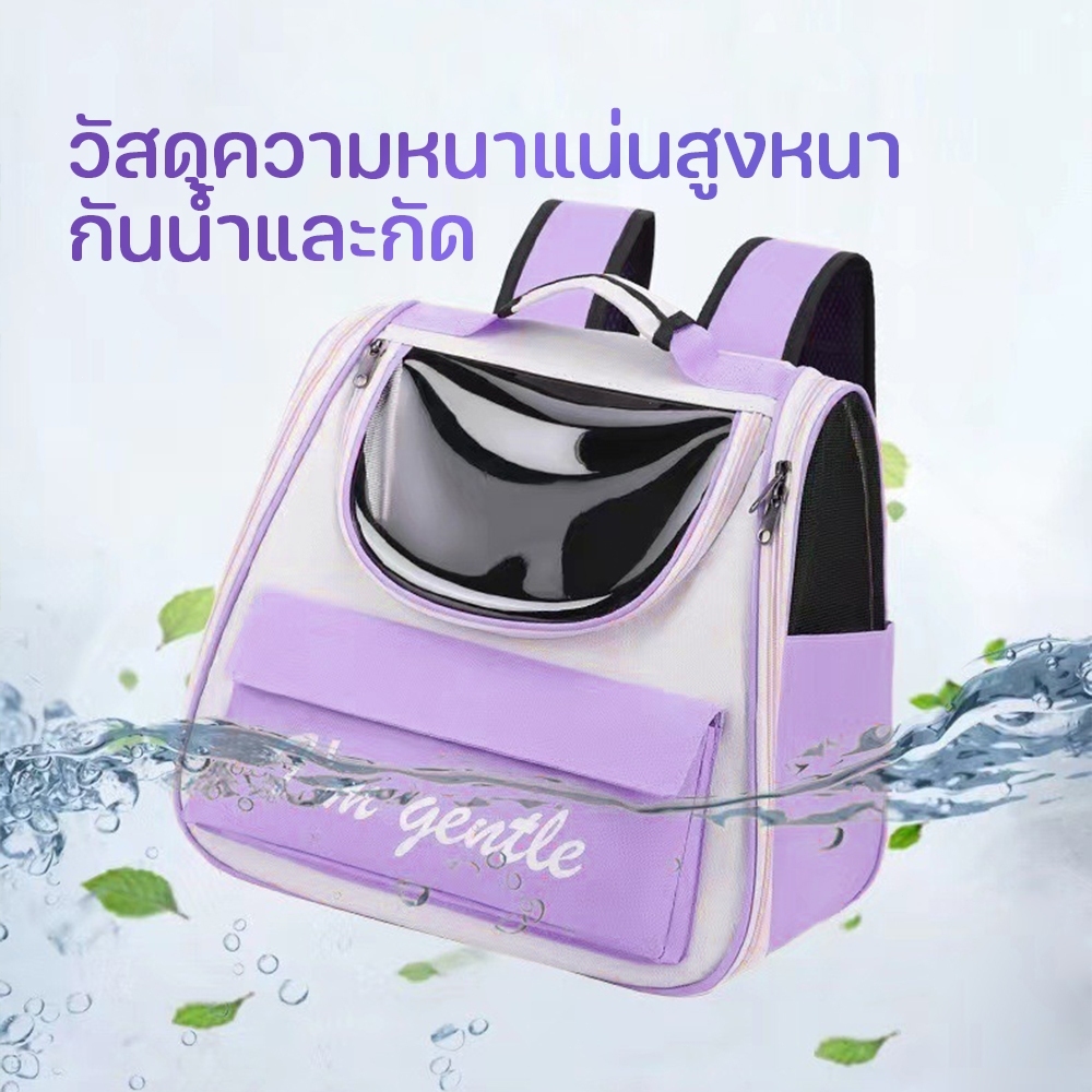 【CAT&DOG】กระเป๋าแมวกระเป๋าหมา เป้แคปซูลอวกาศ สำหรับใส่สัตว์เลี้ยง แบบพกพา กระเป๋าสัตว์เลี้ยงระบายอากาศในแนวทแยง - รูปที่ 6